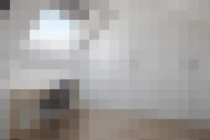 Heer en Beekstraat 22 Rosmalen thumbnail 25