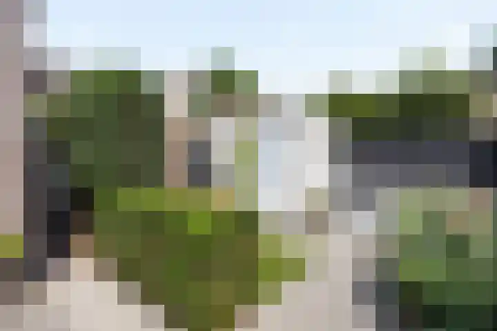 Heer en Beekstraat 22 Rosmalen thumbnail 28