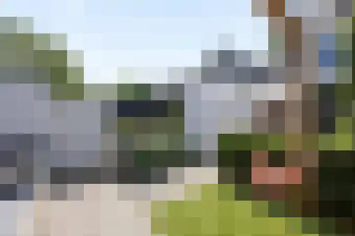 Heer en Beekstraat 22 Rosmalen thumbnail 30