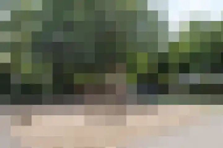 Heer en Beekstraat 22 Rosmalen thumbnail 37