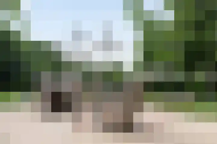 Heer en Beekstraat 22 Rosmalen thumbnail 38