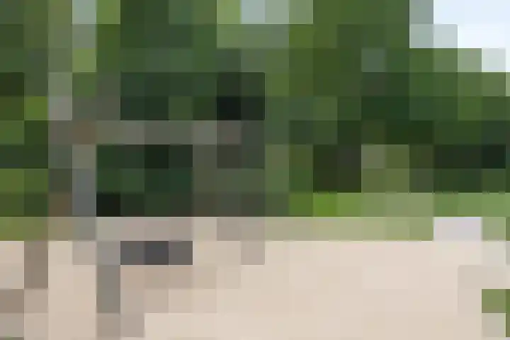 Heer en Beekstraat 22 Rosmalen thumbnail 39