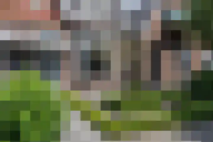 Heer en Beekstraat 22 Rosmalen thumbnail 5