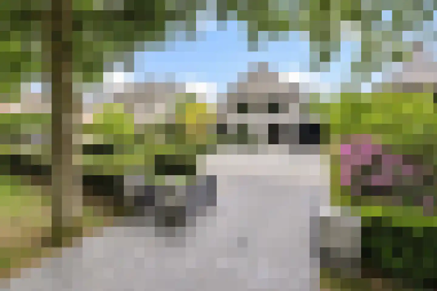 Heer en Beekstraat 29 Rosmalen thumbnail 12