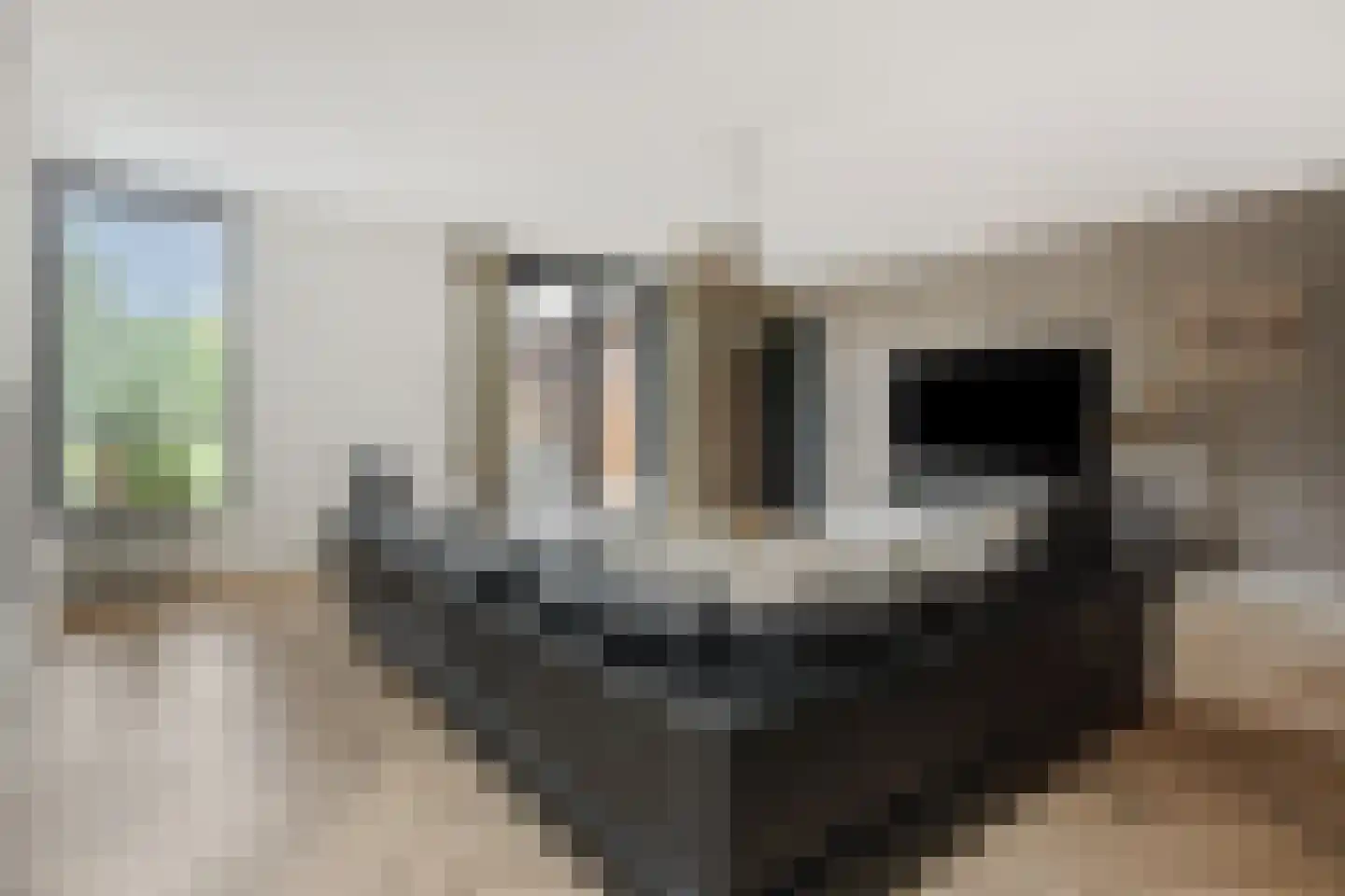 Heer en Beekstraat 29 Rosmalen thumbnail 14