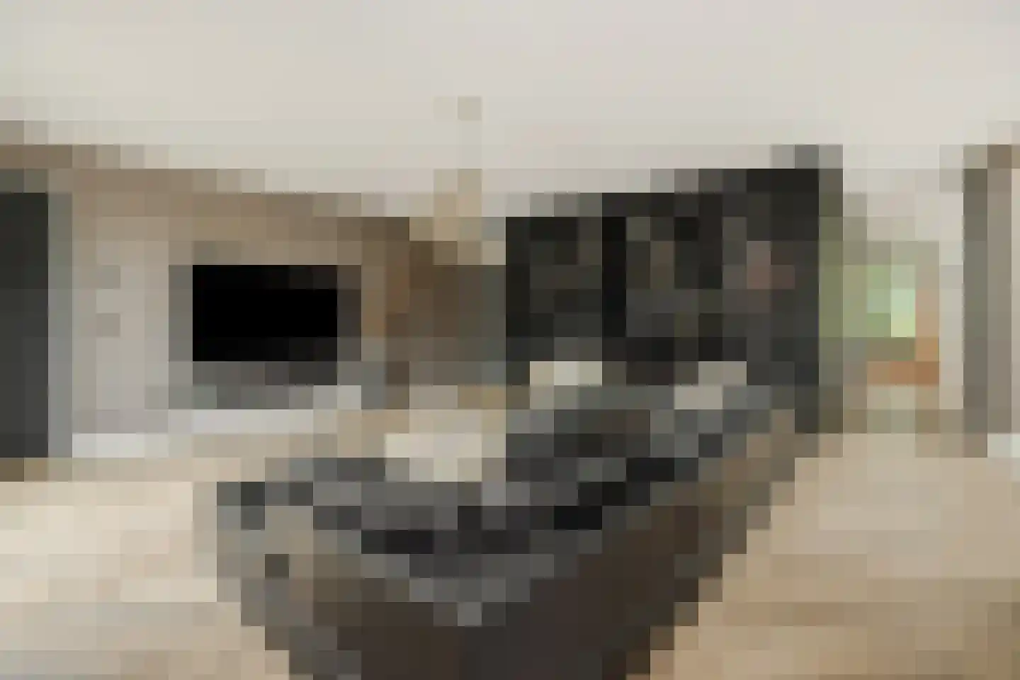 Heer en Beekstraat 29 Rosmalen thumbnail 15