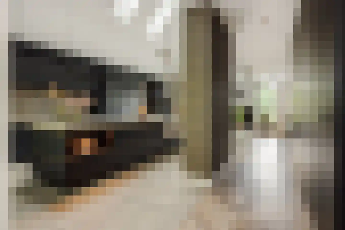 Heer en Beekstraat 29 Rosmalen thumbnail 16