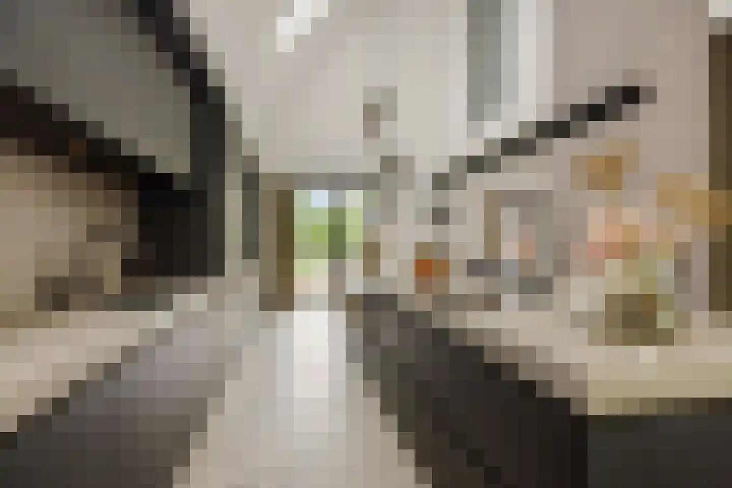 Heer en Beekstraat 29 Rosmalen thumbnail 17