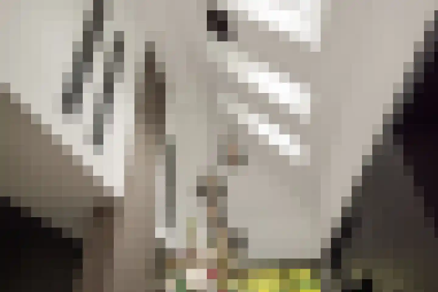 Heer en Beekstraat 29 Rosmalen thumbnail 18