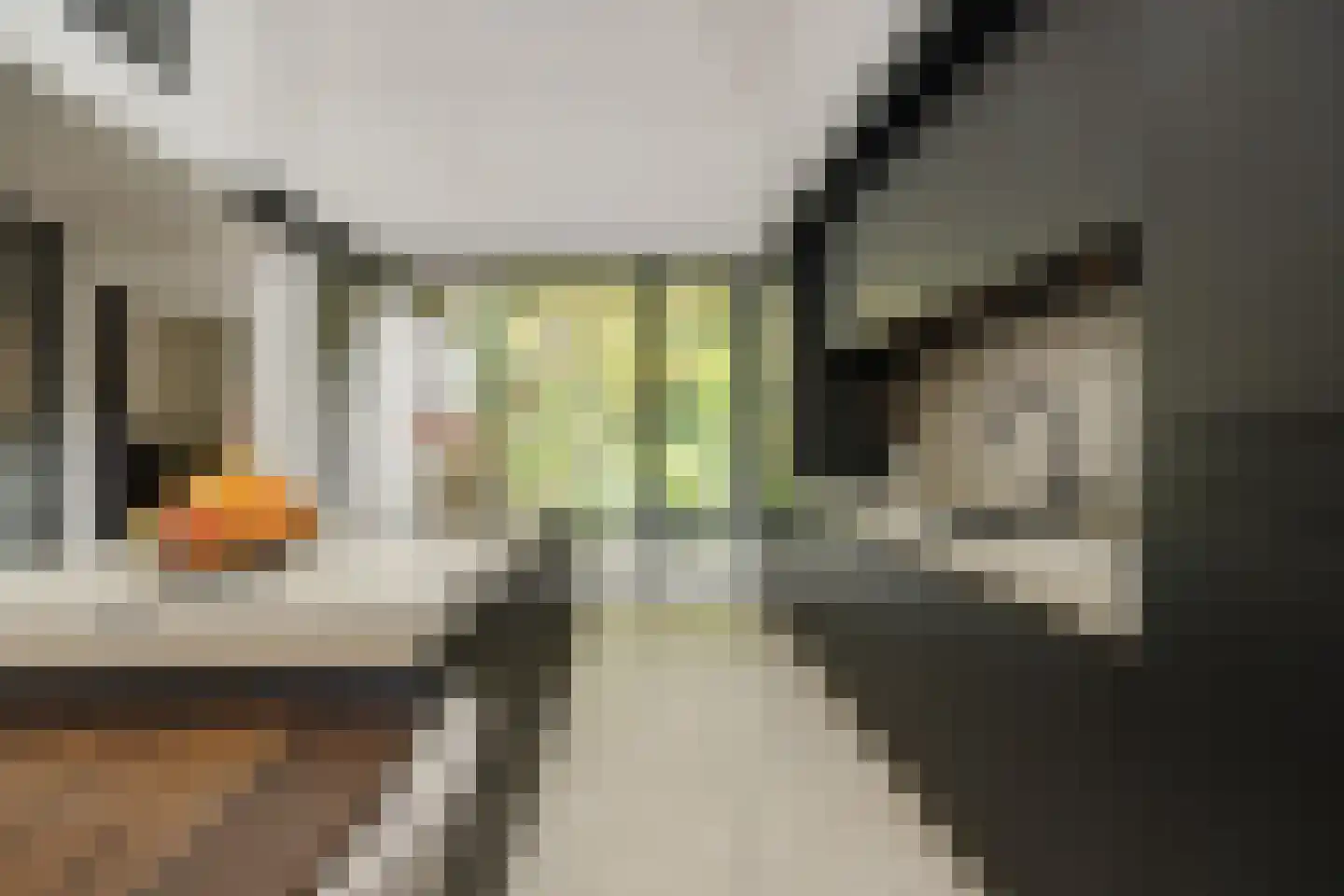 Heer en Beekstraat 29 Rosmalen thumbnail 19