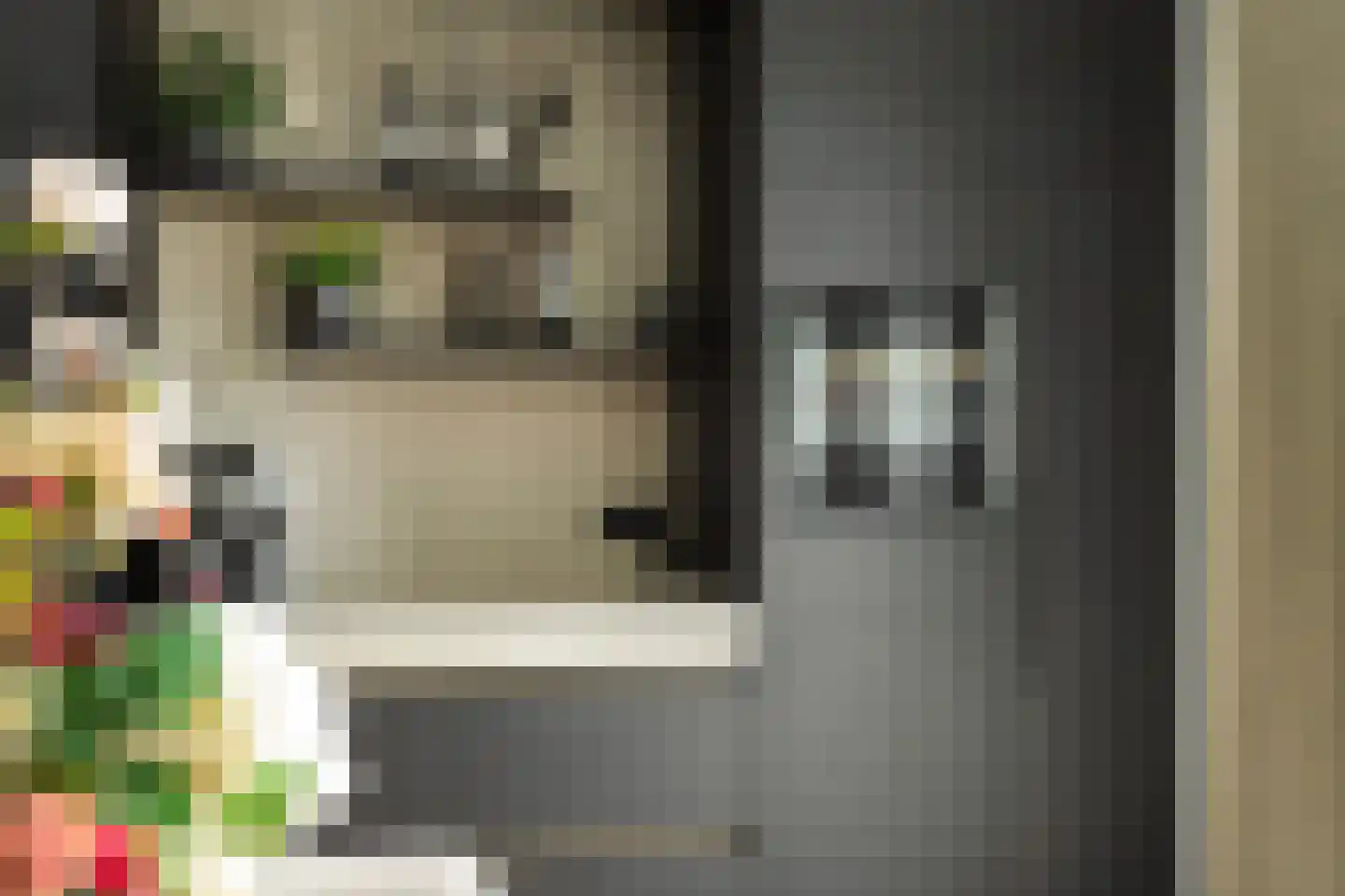 Heer en Beekstraat 29 Rosmalen thumbnail 20