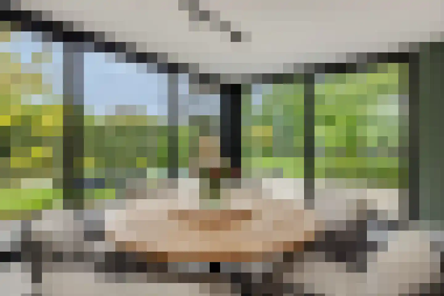 Heer en Beekstraat 29 Rosmalen thumbnail 25