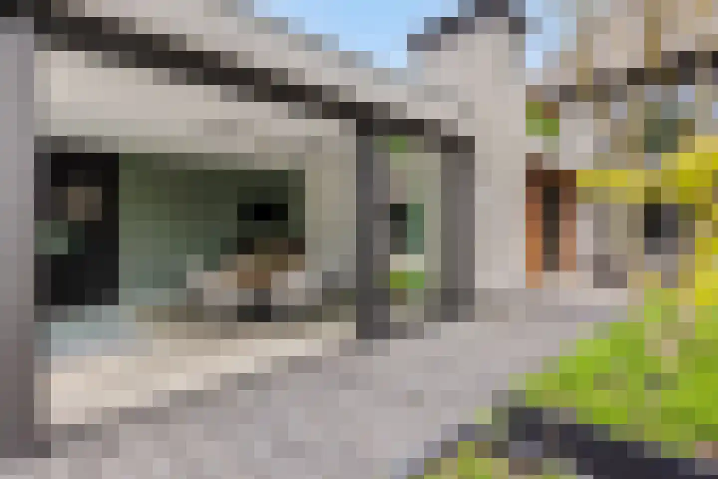 Heer en Beekstraat 29 Rosmalen thumbnail 27