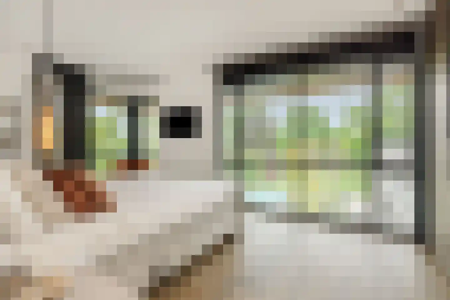 Heer en Beekstraat 29 Rosmalen thumbnail 31