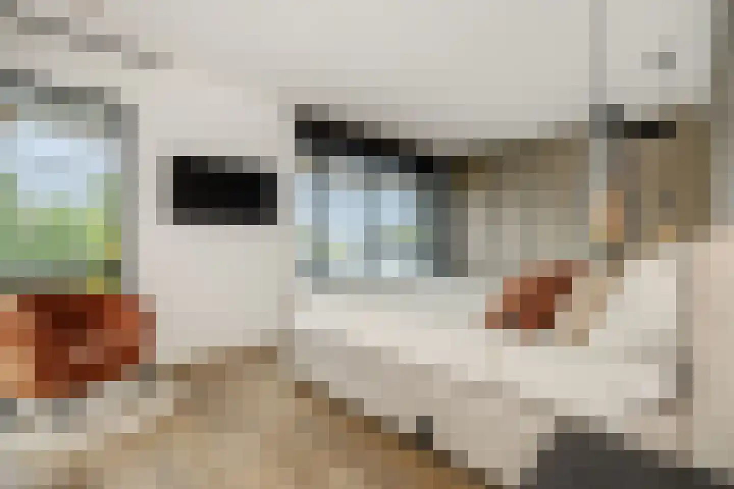 Heer en Beekstraat 29 Rosmalen thumbnail 32