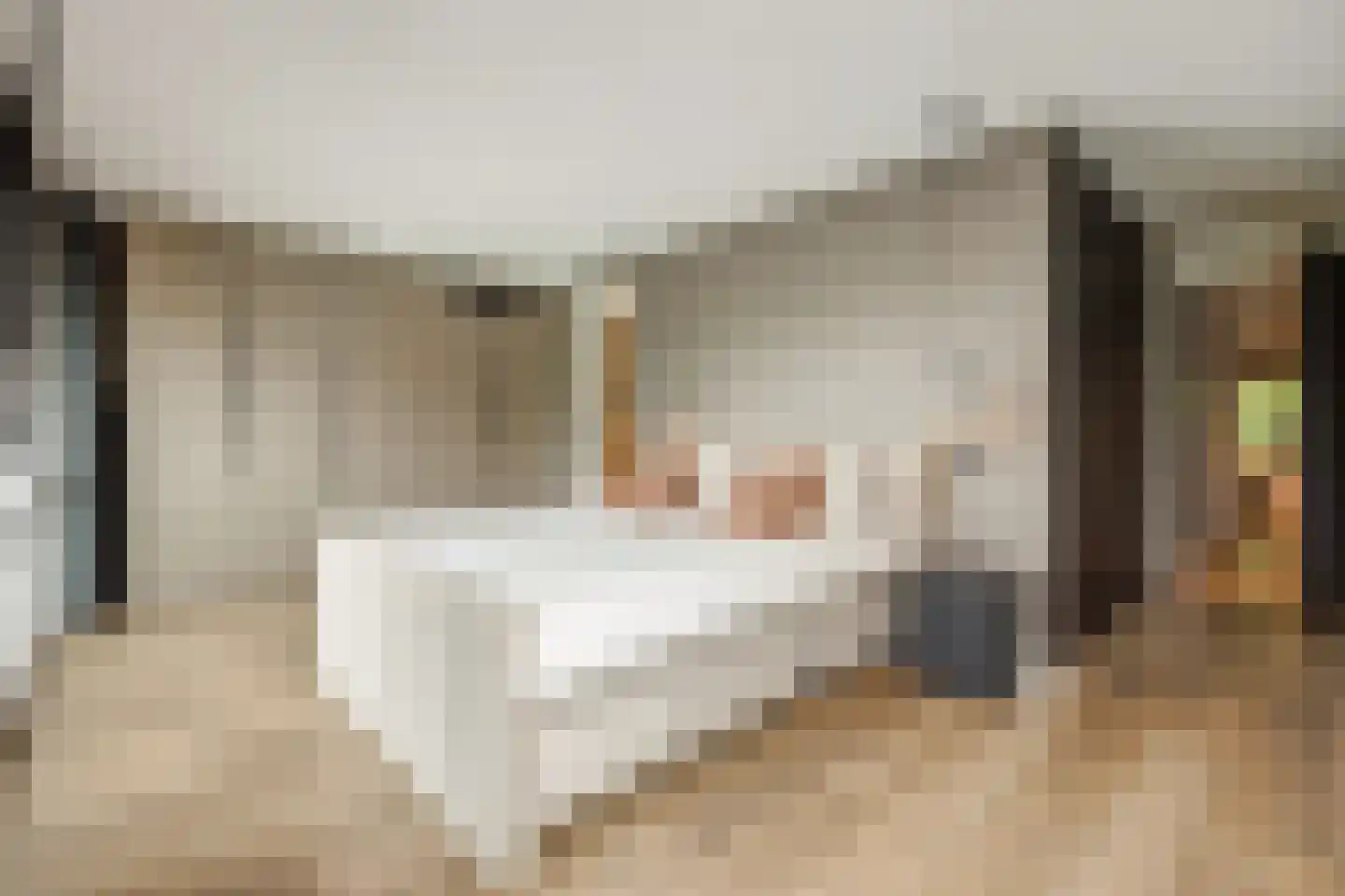 Heer en Beekstraat 29 Rosmalen thumbnail 34
