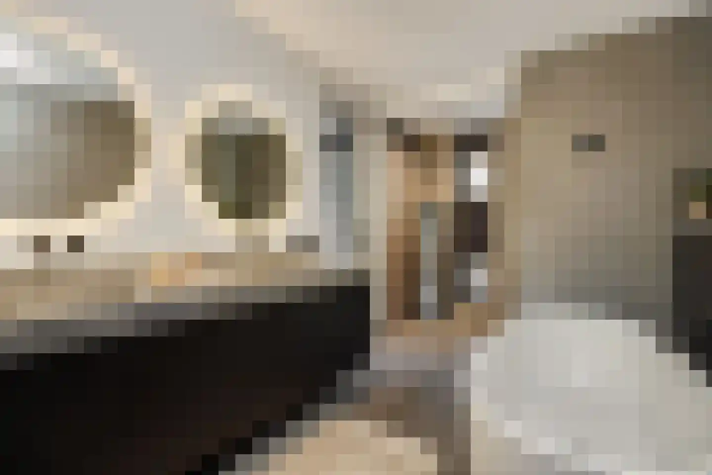 Heer en Beekstraat 29 Rosmalen thumbnail 35