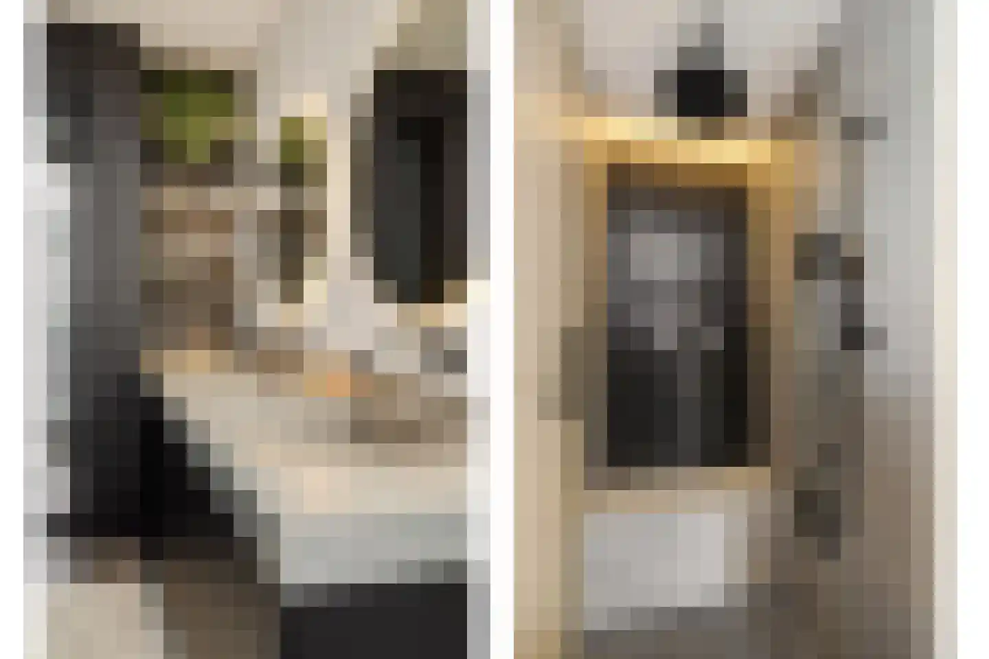 Heer en Beekstraat 29 Rosmalen thumbnail 37