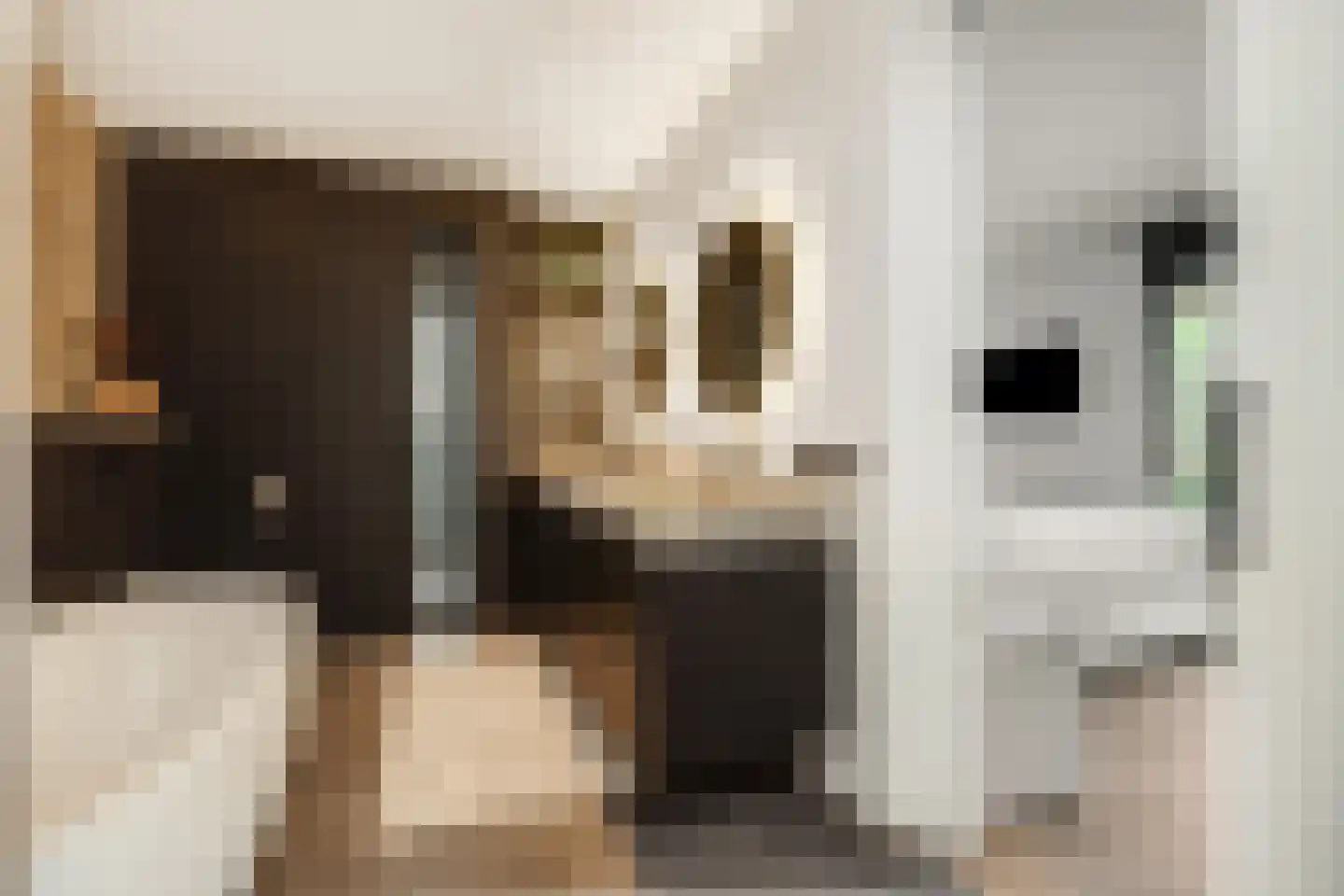 Heer en Beekstraat 29 Rosmalen thumbnail 38