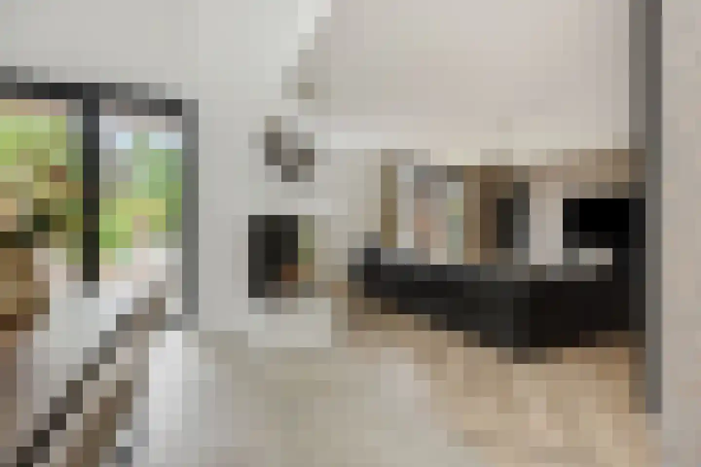 Heer en Beekstraat 29 Rosmalen thumbnail 4