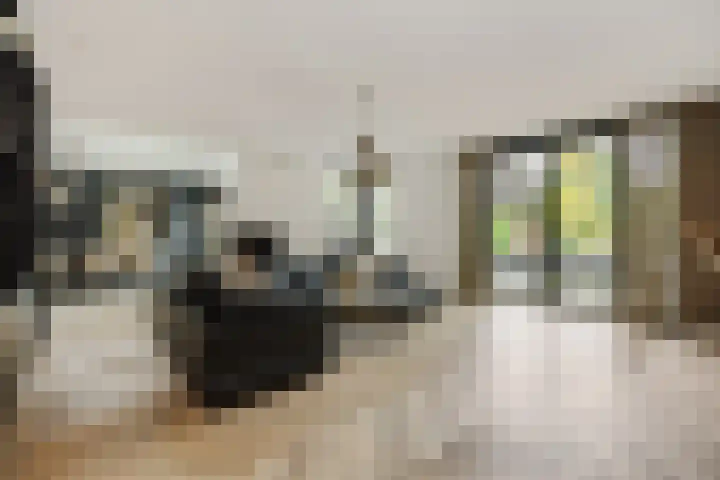 Heer en Beekstraat 29 Rosmalen thumbnail 5