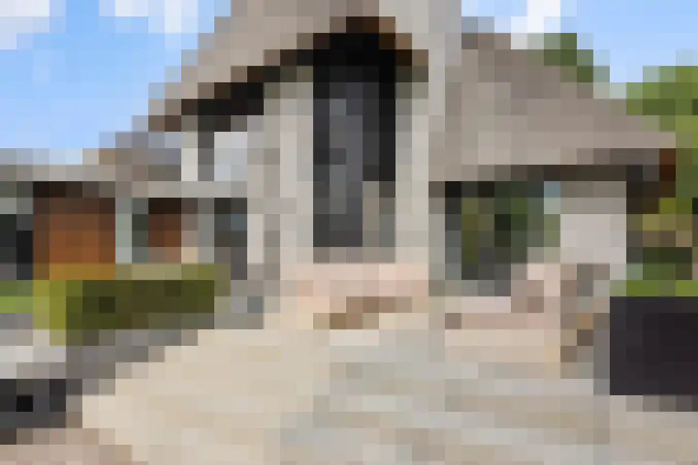 Heer en Beekstraat 29 Rosmalen thumbnail 58