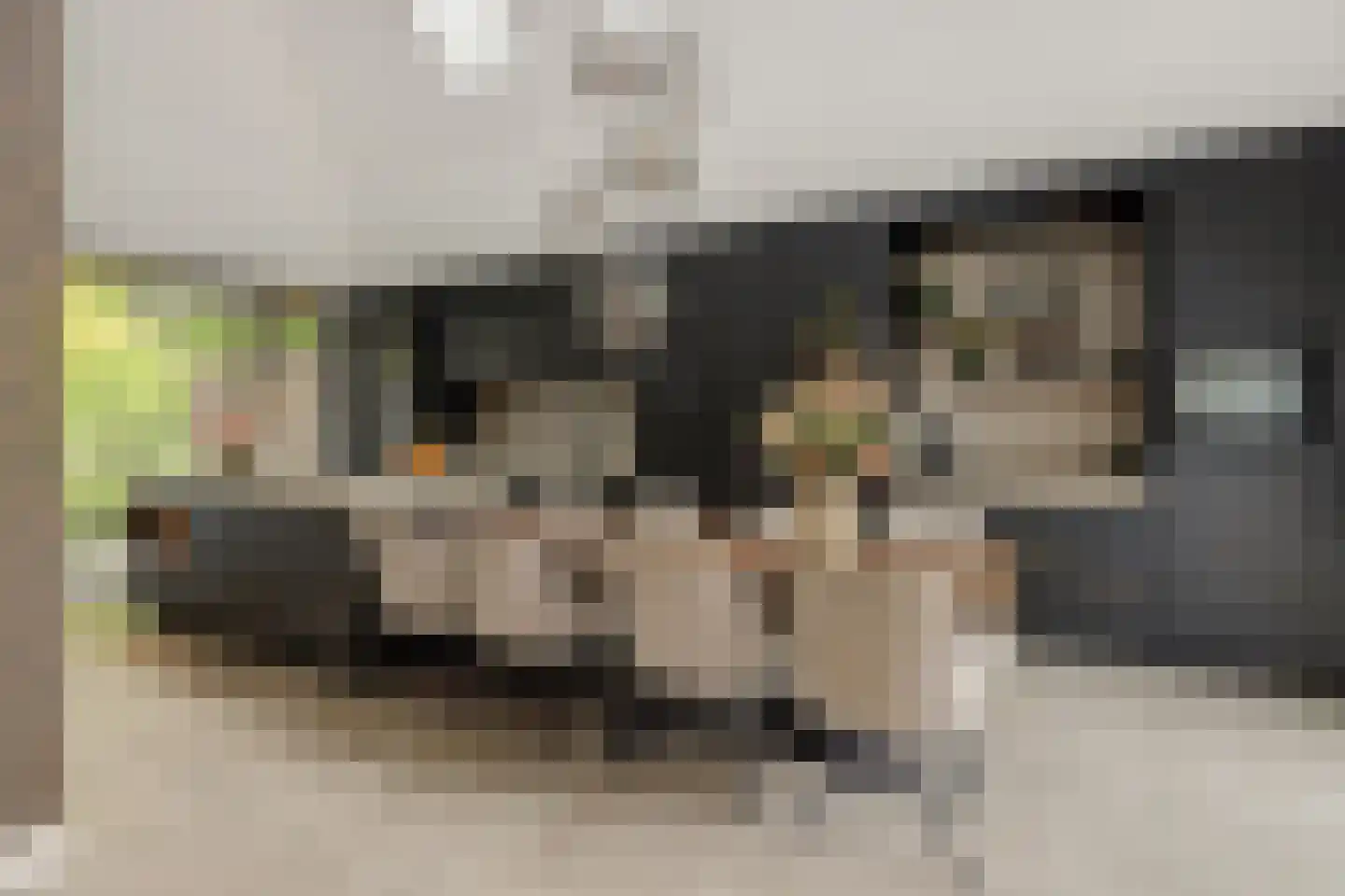Heer en Beekstraat 29 Rosmalen thumbnail 6