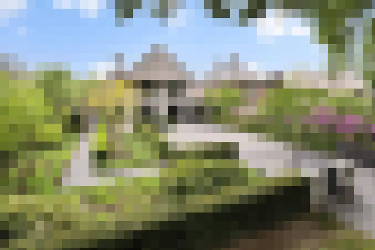 Heer en Beekstraat 29 Rosmalen thumbnail 63