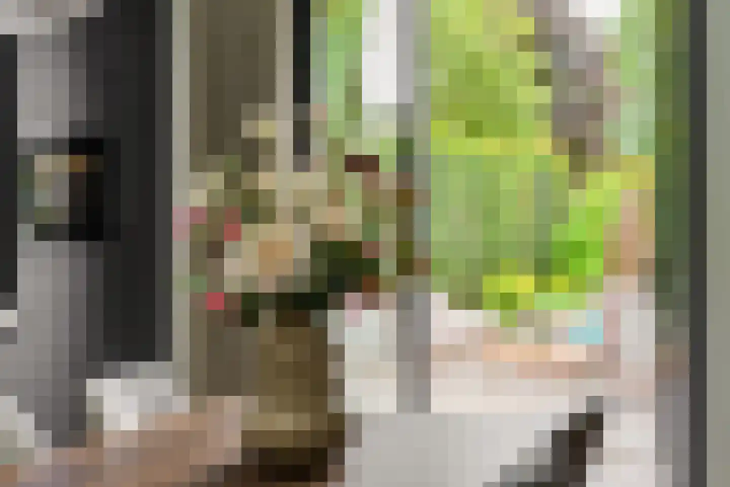 Heer en Beekstraat 29 Rosmalen thumbnail 7