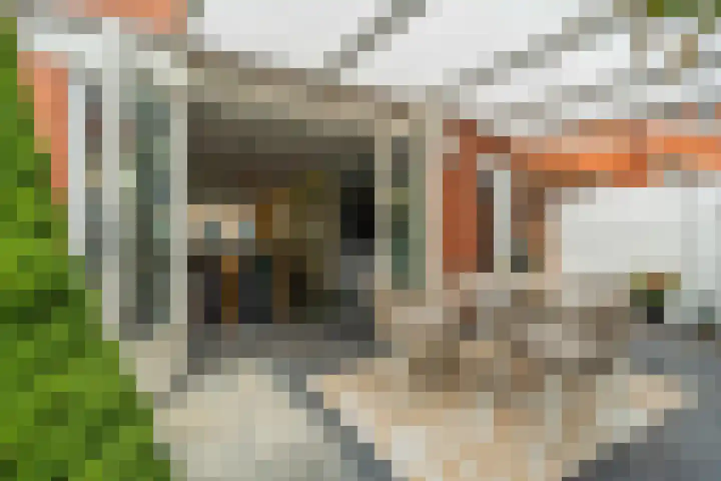 Heer Florisstraat 7 IJsselstein thumbnail 41