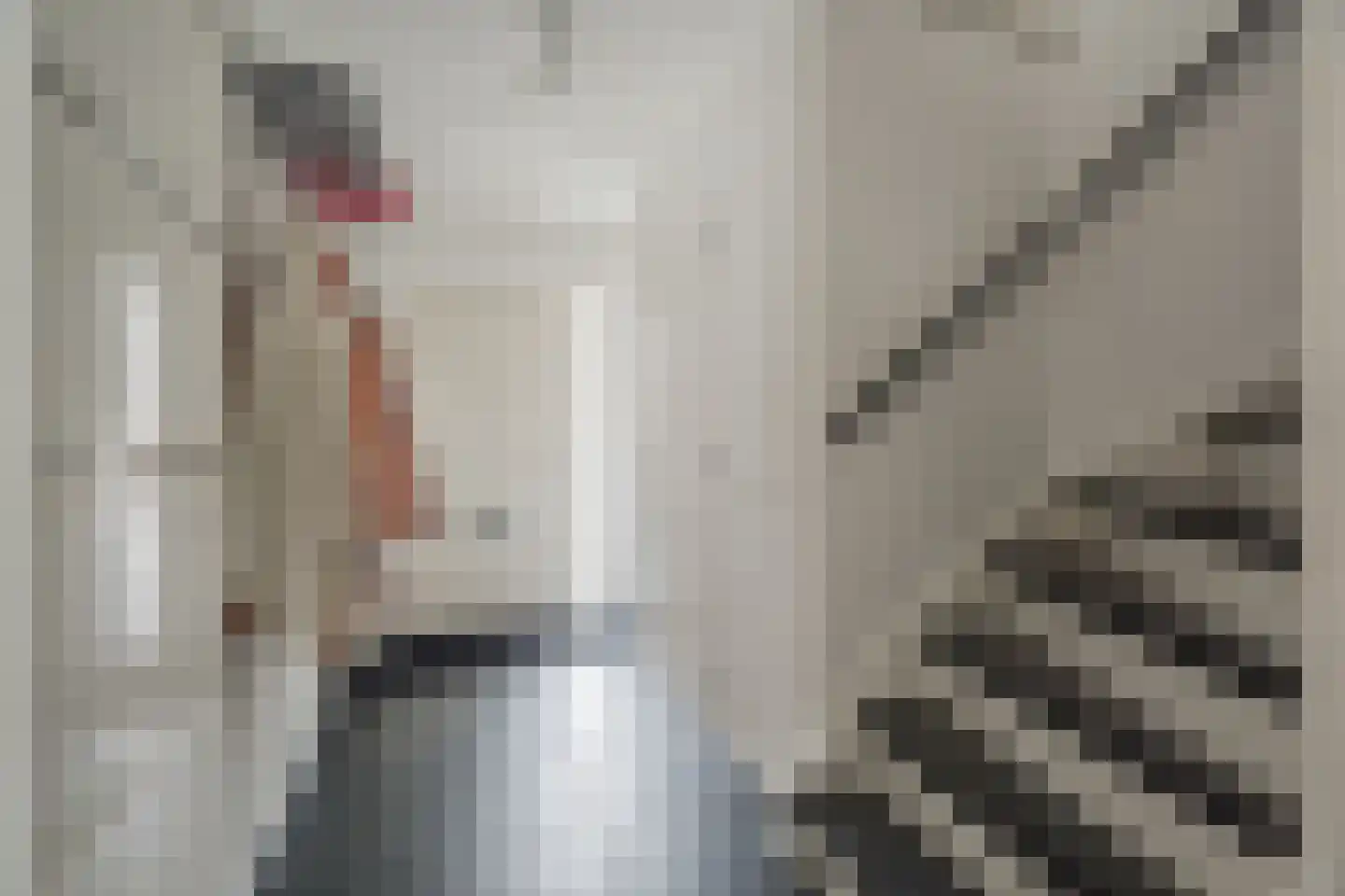 Heer Florisstraat 7 IJsselstein thumbnail 6