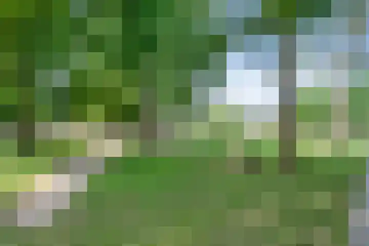 Heer Gijsbrechtstraat 35 IJsselstein thumbnail 32