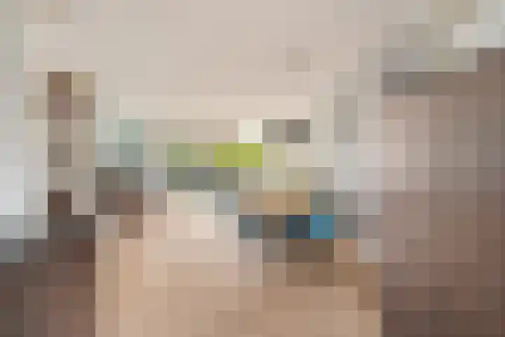Heer Halewijnburg 21 Capelle aan den IJssel thumbnail 12