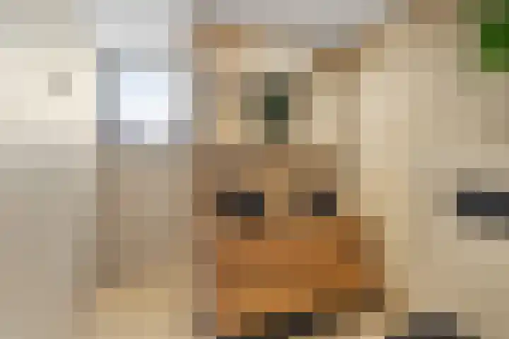 Heer Halewijnburg 21 Capelle aan den IJssel thumbnail 13