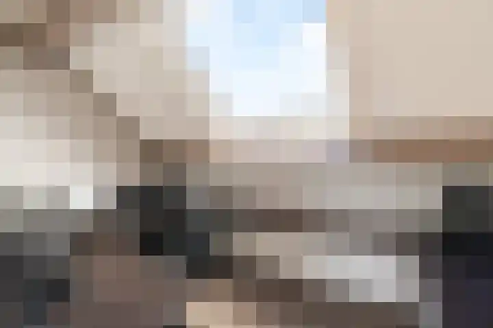 Heer Halewijnburg 21 Capelle aan den IJssel thumbnail 24
