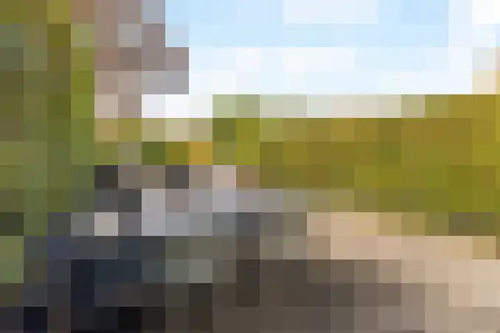 Heer Halewijnburg 21 Capelle aan den IJssel thumbnail 30