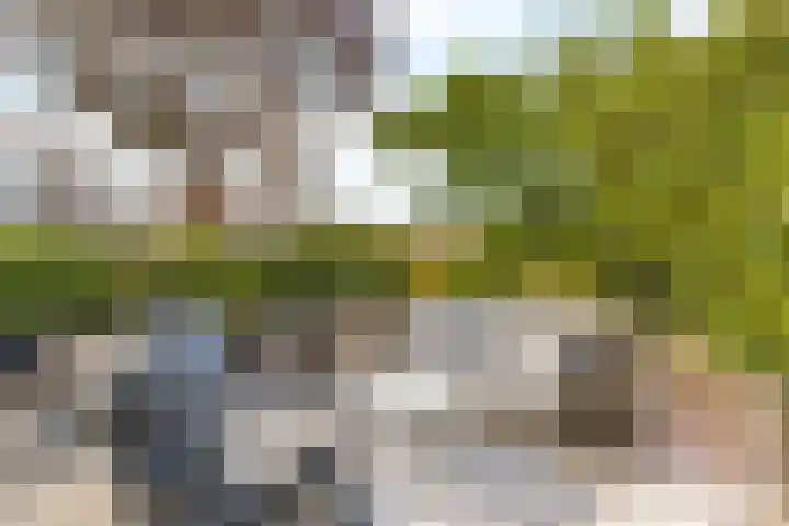 Heer Halewijnburg 21 Capelle aan den IJssel thumbnail 31