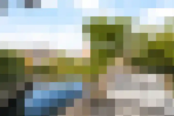 Heer Halewijnburg 21 Capelle aan den IJssel thumbnail 33