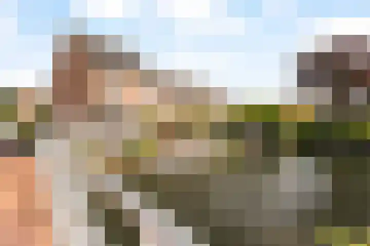 Heer Halewijnburg 21 Capelle aan den IJssel thumbnail 37