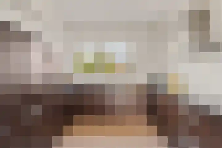 Heer Halewijnburg 21 Capelle aan den IJssel thumbnail 9
