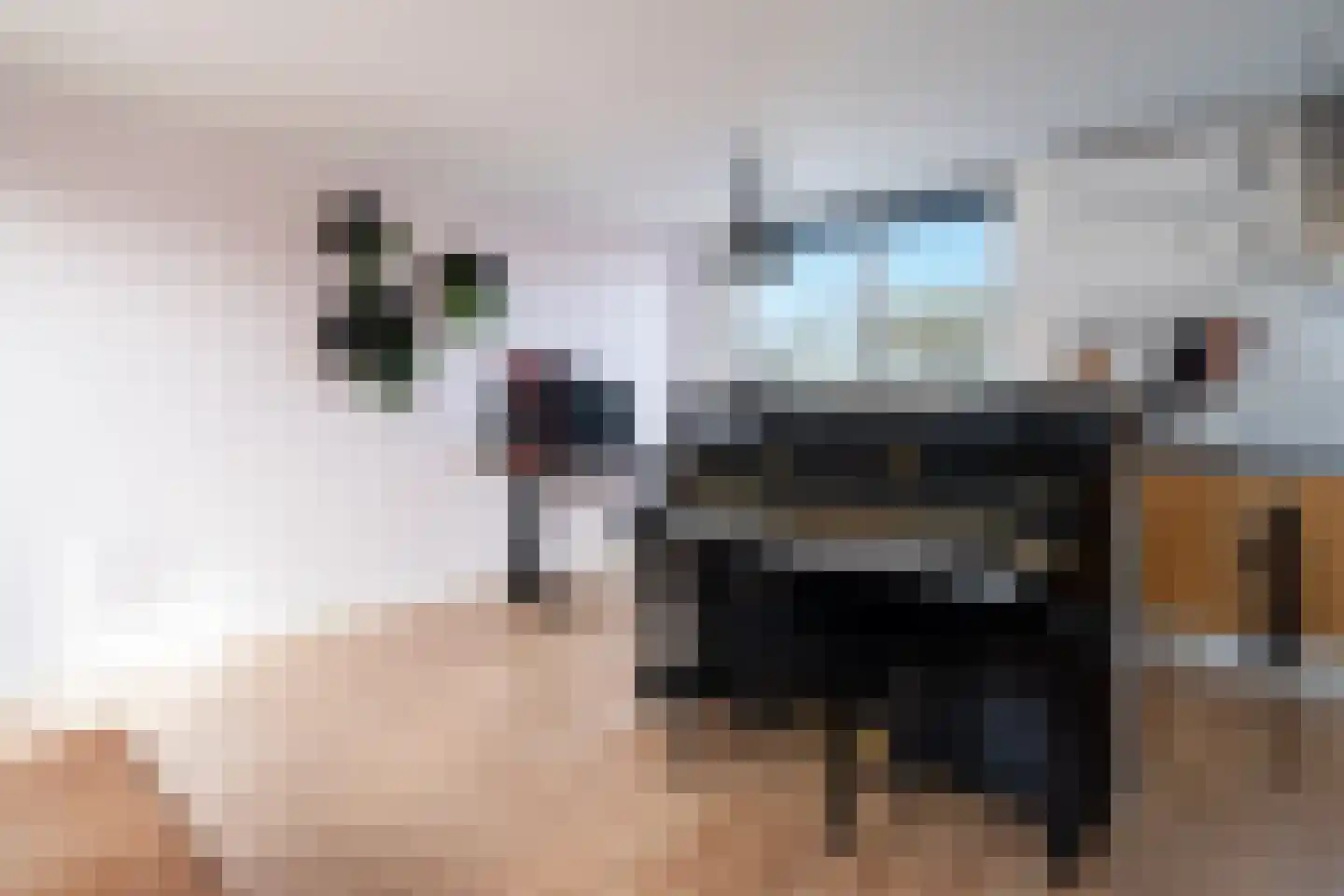 Heer Halewijnburg 64 Capelle aan den IJssel thumbnail 11