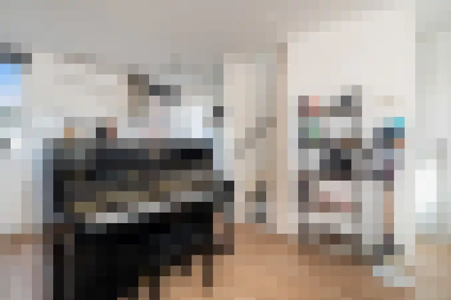 Heer Halewijnburg 64 Capelle aan den IJssel thumbnail 19