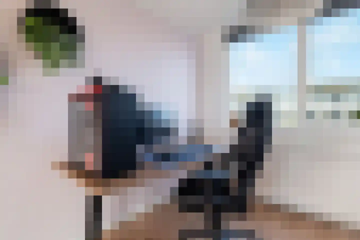 Heer Halewijnburg 64 Capelle aan den IJssel thumbnail 20