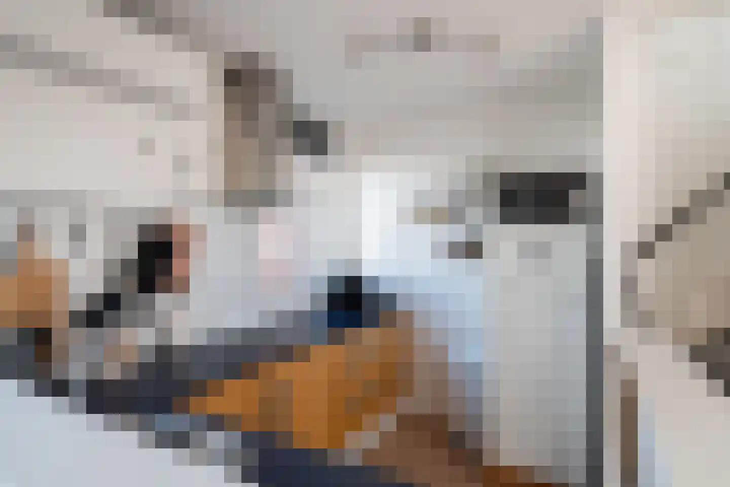 Heer Halewijnburg 64 Capelle aan den IJssel thumbnail 24