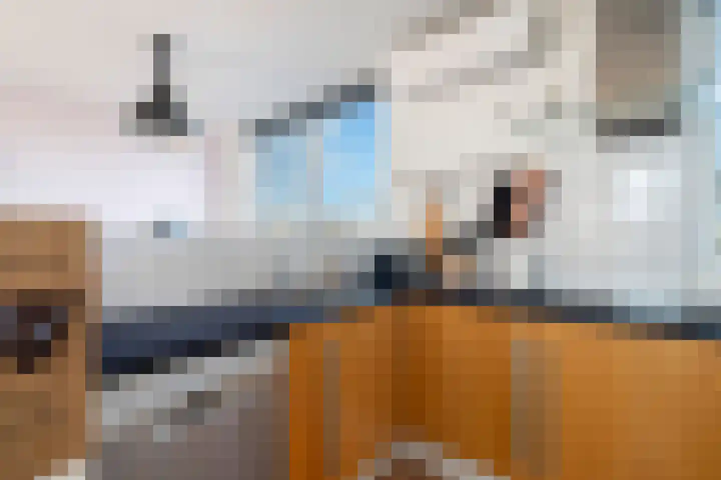 Heer Halewijnburg 64 Capelle aan den IJssel thumbnail 26
