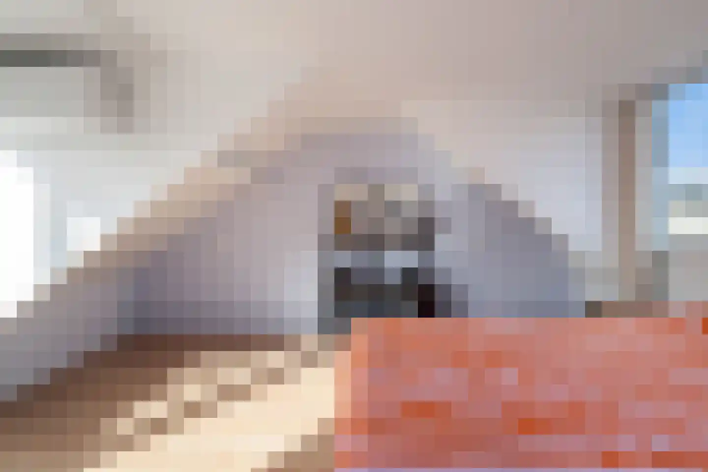 Heer Halewijnburg 64 Capelle aan den IJssel thumbnail 33