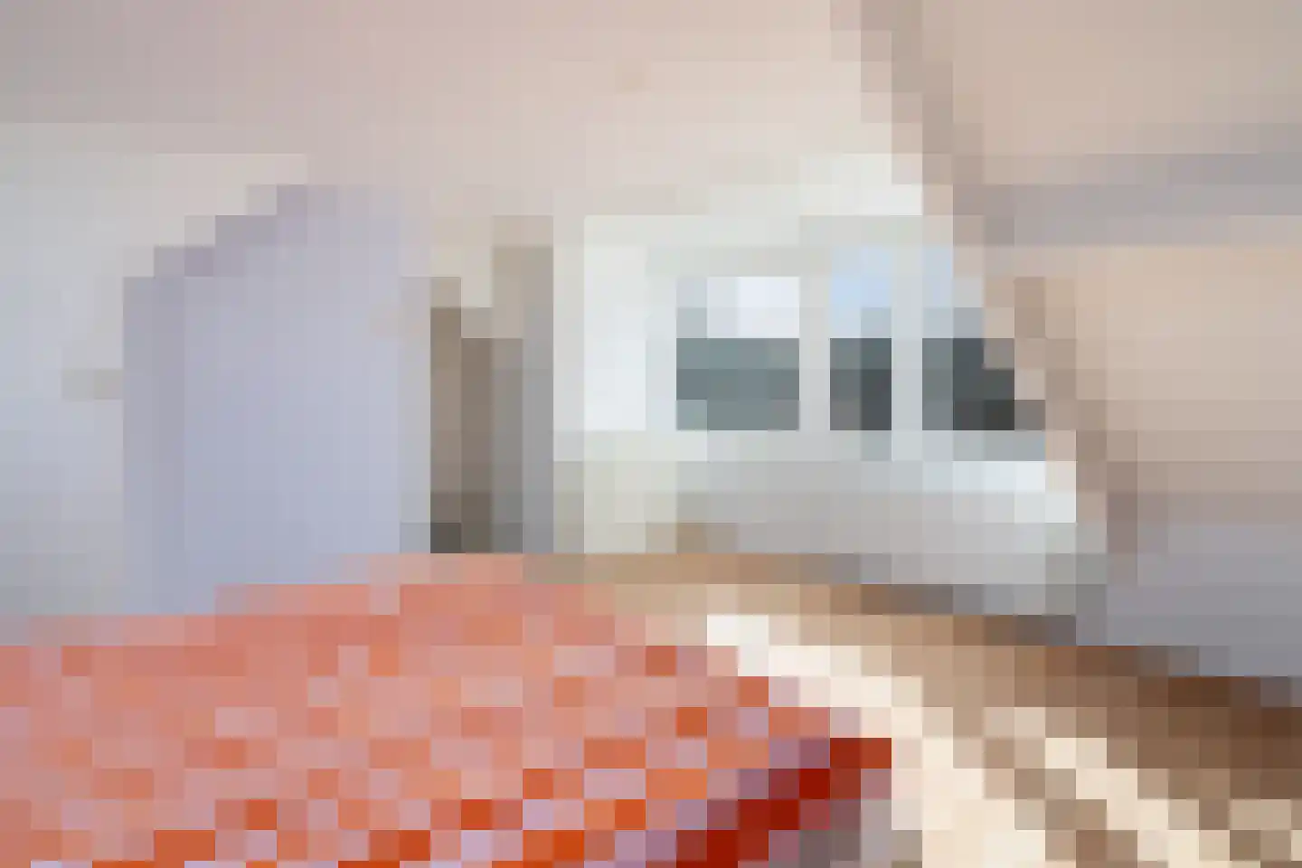 Heer Halewijnburg 64 Capelle aan den IJssel thumbnail 37