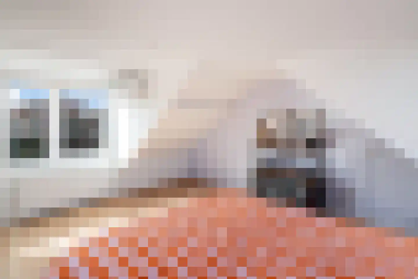 Heer Halewijnburg 64 Capelle aan den IJssel thumbnail 38