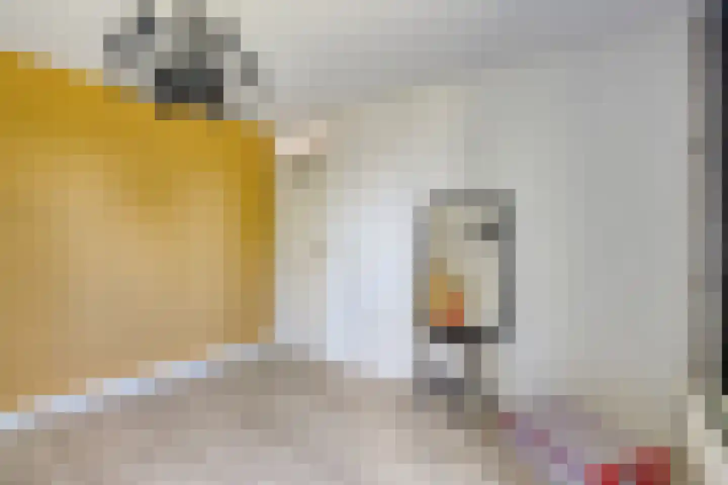 Heer Halewijnpad 38 Amersfoort thumbnail 24