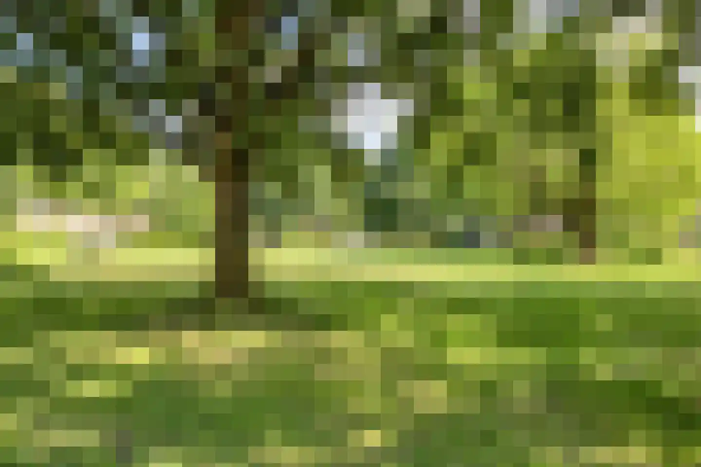 Heer Halewijnpad 38 Amersfoort thumbnail 42